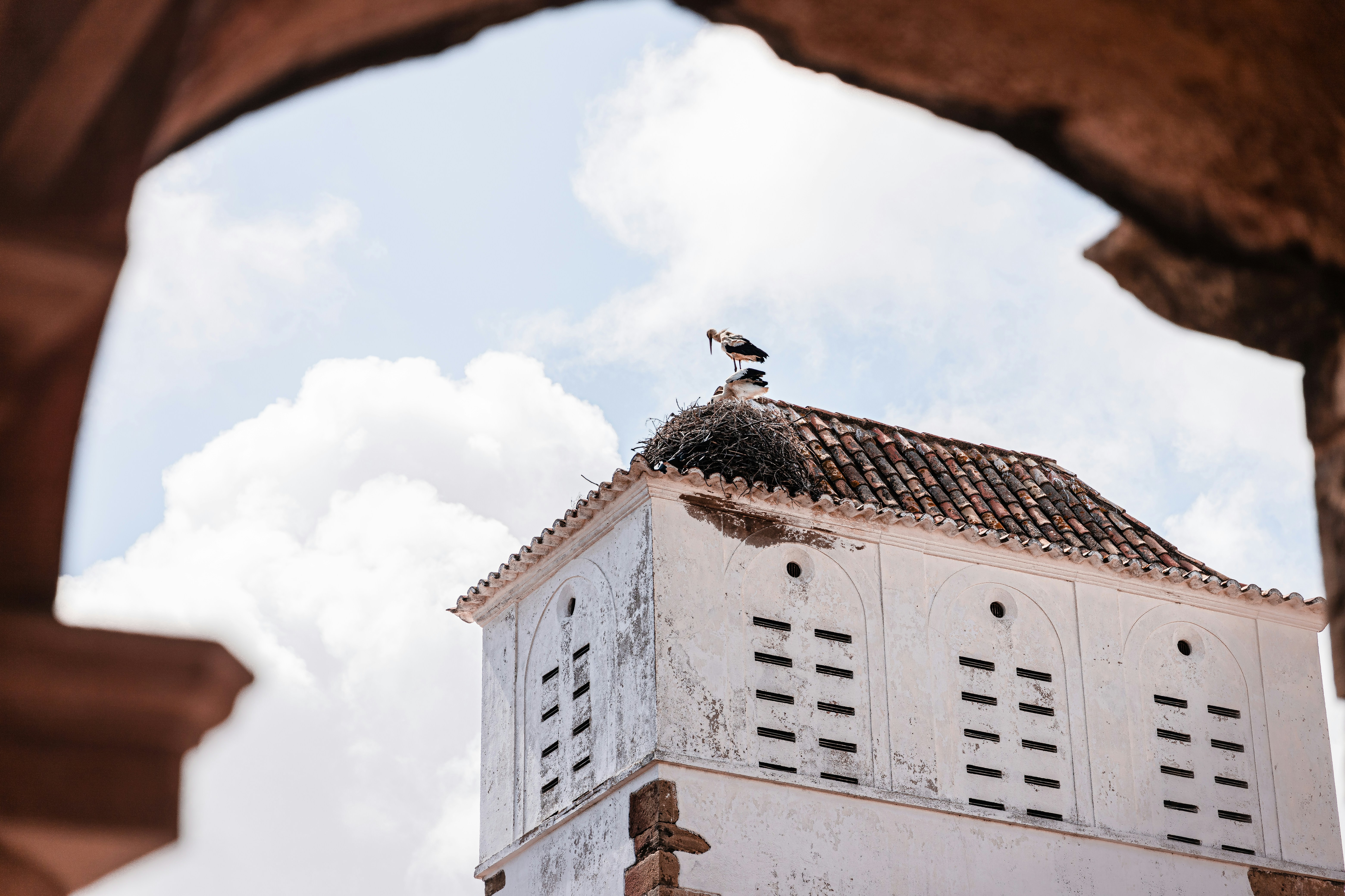 Algarve Classic: Golden Cliffs and Hidden Villages